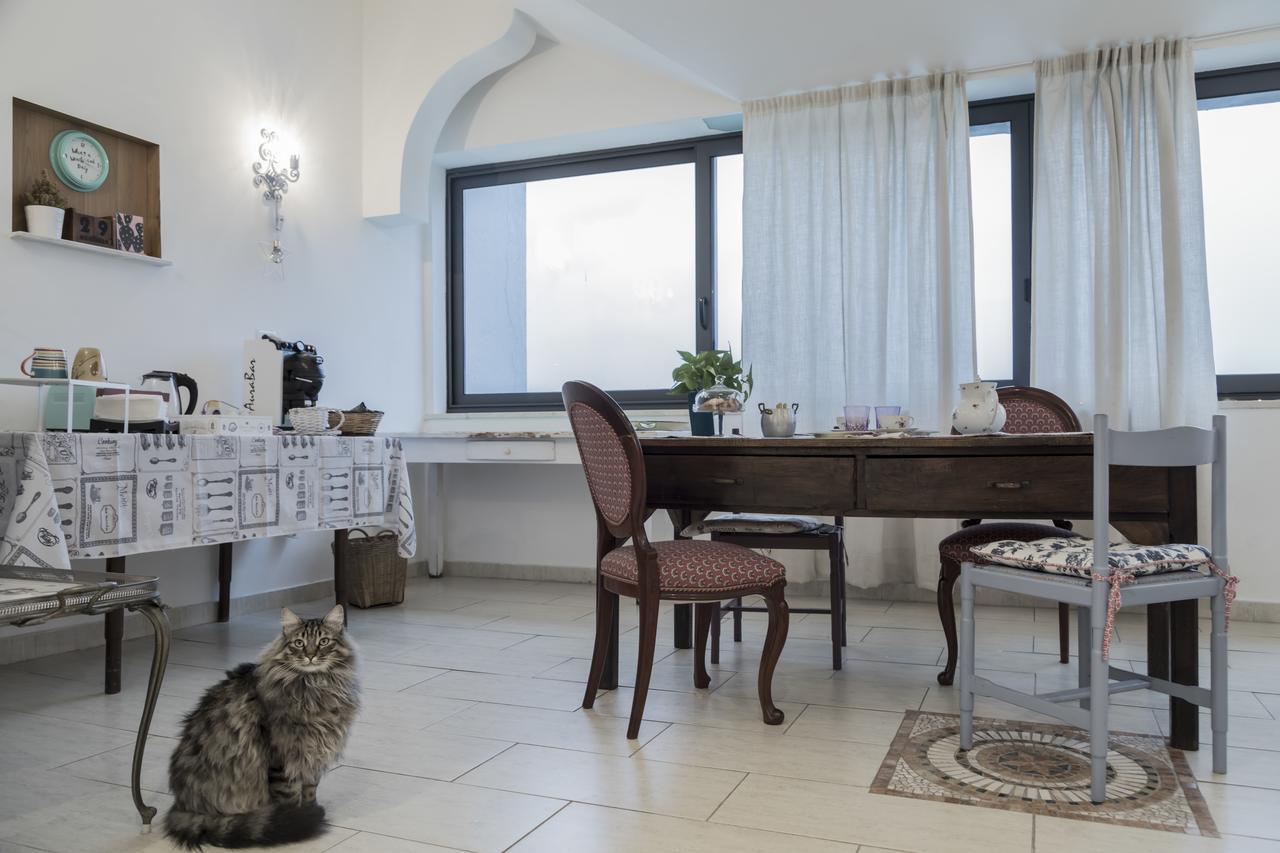 Il Pettirosso B&B Grottaferrata Exterior photo